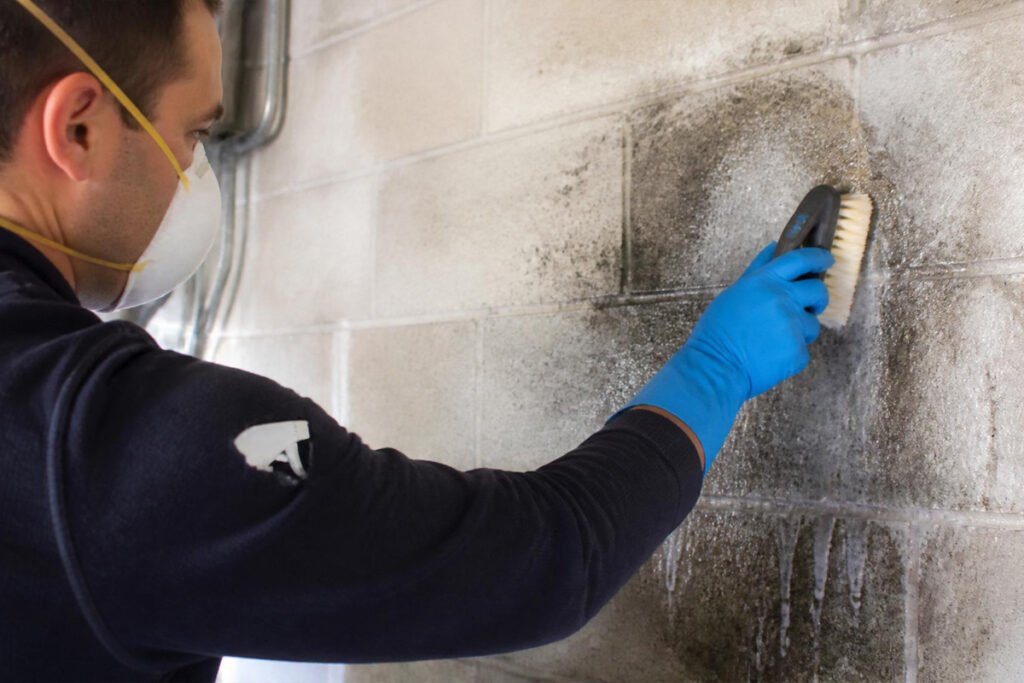 garage mold removal scrubbing concrete wall